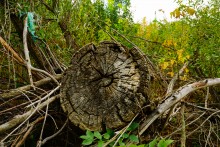 Мост через Миус у поселка Краснобумажник