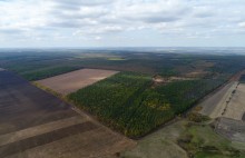 Лесхоз на реке Кундрючьей