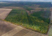 Лесхоз на реке Кундрючьей