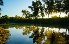 Танец утреннего, тумана на реке Чир