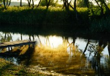 Танец утреннего, тумана на реке Чир