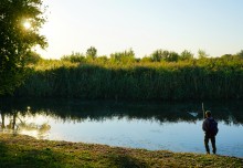 Танец утреннего, тумана на реке Чир