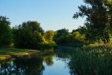 Танец утреннего, тумана на реке Чир