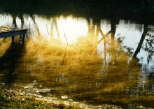 Танец утреннего, тумана на реке Чир