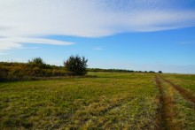 Дубовый лес в глубокой балке