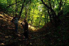 Дубовый лес в глубокой балке