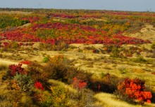 Осень на Сухом Донце