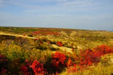 Песчаные горы и обрывы на реке Сухой Донец у хутора Ольховский
