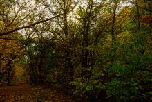 Песчаные горы и обрывы на реке Сухой Донец у хутора Ольховский