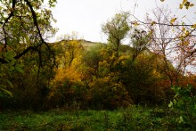 Песчаные горы и обрывы на реке Сухой Донец у хутора Ольховский