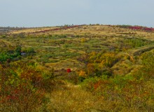 Песчаные горы и обрывы на реке Сухой Донец у хутора Ольховский