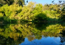 Тихая река Чир