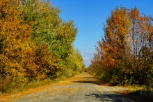 Хутор Краснодворск на ерике Золотом