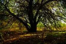 Хутор Краснодворск на ерике Золотом