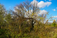 Хутор Краснодворск на ерике Золотом