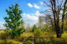 Хутор Краснодворск на ерике Золотом