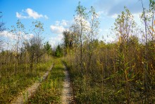 Хутор Краснодворск на ерике Золотом