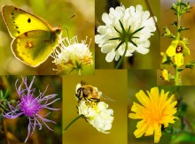 Хутор Краснодворск на ерике Золотом