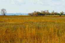 Хутор Краснодворск на ерике Золотом