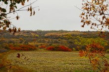 Золотые горки