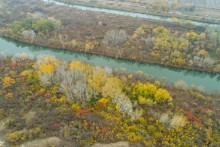 Золотые горки