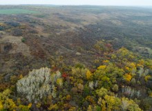 Золотые горки