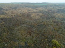 Золотые горки