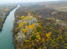 Золотые горки