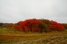 Золотые горки