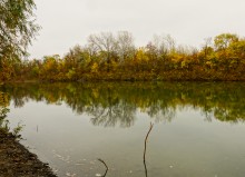 Золотые горки