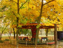 Осень в парке Островского