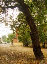 Старая жердёла на Сельмаше