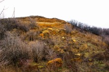 Большой Лог