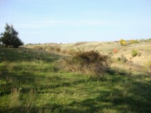 Большой Лог