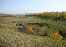 Большой Лог