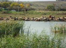 Большой Лог