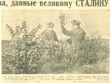 Большой Лог