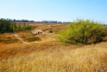 Большой Лог