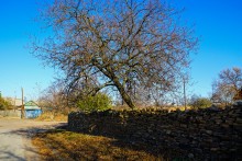 Окрестности поселка Коксового, хутора Ольховского и Бородиновского леса на Северском Донце
