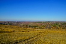 Окрестности поселка Коксового, хутора Ольховского и Бородиновского леса на Северском Донце