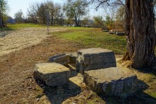 Окрестности поселка Коксового, хутора Ольховского и Бородиновского леса на Северском Донце