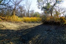 Окрестности поселка Коксового, хутора Ольховского и Бородиновского леса на Северском Донце