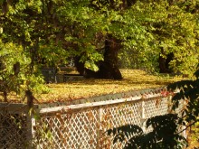 Ростовская осень в паке Горького