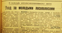 Устройство государственных лесозащитных полос по сталинскому плану преобразования природы