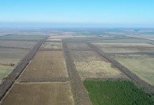 Устройство государственных лесозащитных полос по сталинскому плану преобразования природы