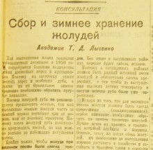 Устройство государственных лесозащитных полос по сталинскому плану преобразования природы