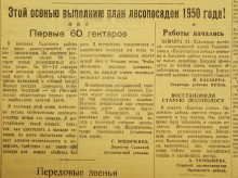 Устройство государственных лесозащитных полос по сталинскому плану преобразования природы