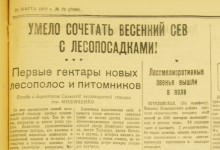 Устройство государственных лесозащитных полос по сталинскому плану преобразования природы