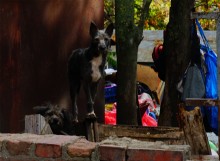 Ростов-на-Дону