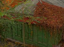 Ростов-на-Дону